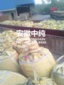 发货现场图04
