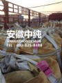 发货现场图13