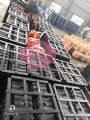 微信图片_20201009101933